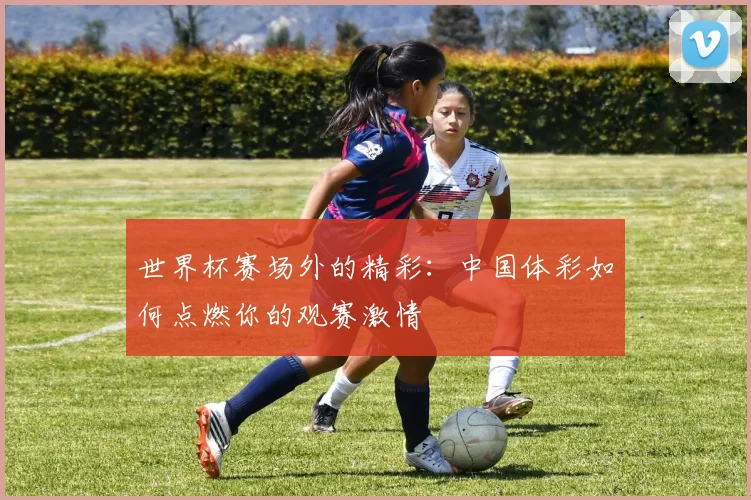 世界杯赛场外的精彩：中国体彩如何点燃你的观赛激情