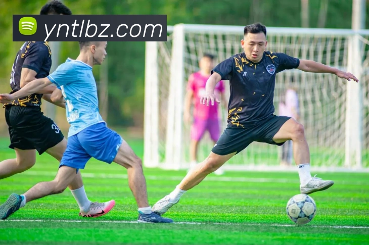 mksports官方网站品牌故事